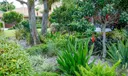 900 Cosmos Court Photo