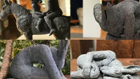 Eduardo’s Spotlight on Ann Norton Sculpture Gardens