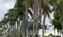 10720 NW 66th St #402 Photo