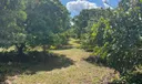 Sw Photo