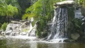 Frenchman’s Creek | Amenities | Frenchmans Creek