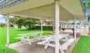 4507 Queen Palm Ln Photo