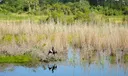 10427 Orchid Reserve Drive #16-A Photo