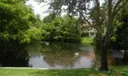 6451 Boca Circle Photo