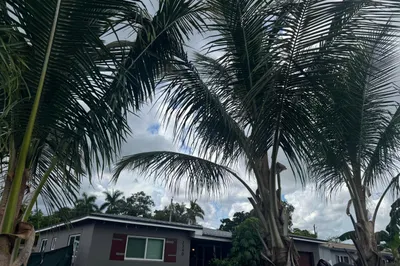 3340 SW 20th Court 1