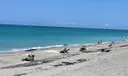 1605 S Us Highway 1 #1c Photo