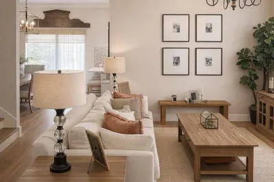 Living Room 1