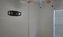 453 Dahoon Holly Dr Photo