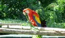 5550 N Ocean Drive #21-A Photo
