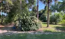 203 E Easy Street Photo