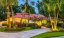 6 Pineapple Lane Photo