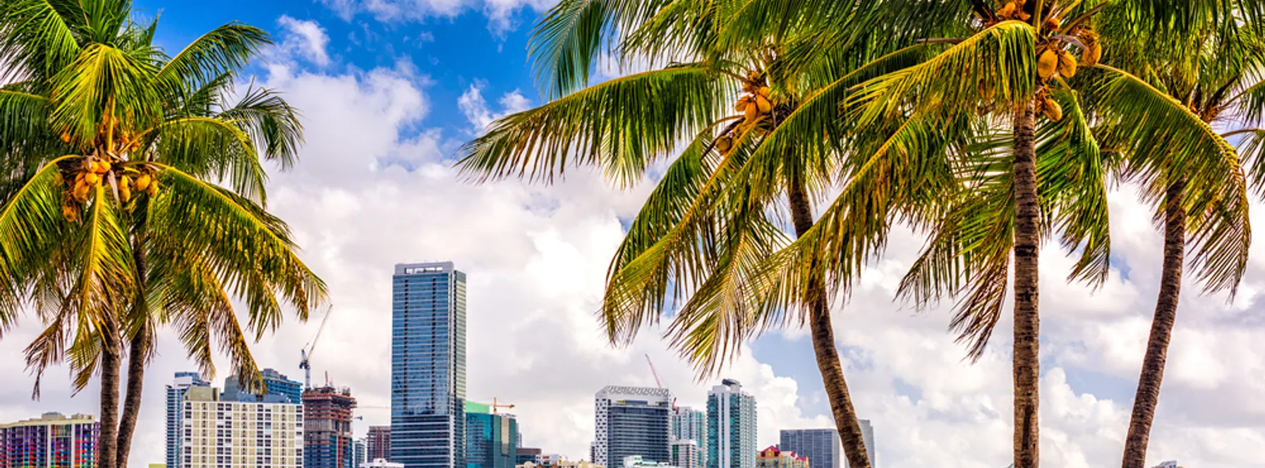 1505 Ponce: Boutique Mixed-Use Living in Coral Gables