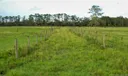 3503 SW Trailside Path Photo