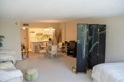 2301 Collins Avenue #336 1
