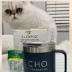 Echo Home Match