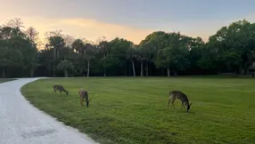 Top 10 Reasons to Live in Florida