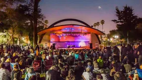 Singer Island Spotlight: 5 Things to Do in John D. MacArthur Beach State Park