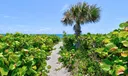 282 Celestial Way Photo