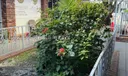 600  25th St #E Photo