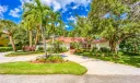 6 Pineapple Lane Photo