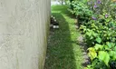 4669 Martha Louise Dr Photo