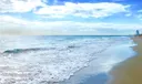 495 Ocean Blvd Photo