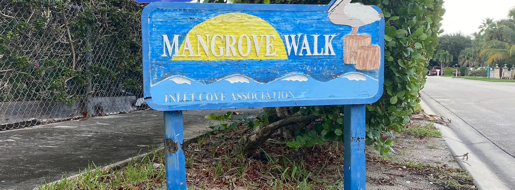 Mangrove Walk – Discover the Coastal Charm