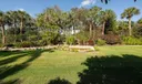 11209 Orange Hibiscus Ln Photo