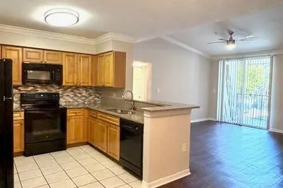 15155 MICHELANGELO Boulevard #207 1