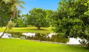 19652 Back Nine Photo