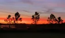7733 Maywood Crest Drive Photo