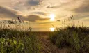 715 S Ocean Dr #G Photo