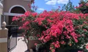 491 NW 188th Ter #491 Photo