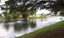 7650 Westwood Dr #514 Photo