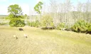 2171 SW Trailside Path Photo