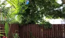 409 91st St Photo