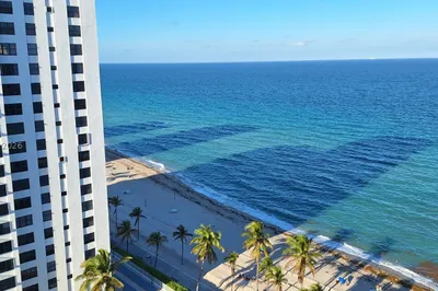 2501 S Ocean Dr #PH6 1