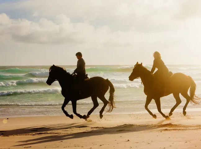 Equestrian Homes & Communities in Martin County