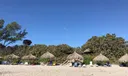 3912 S Ocean Boulevard #603 Photo