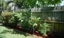 5949 Basil Drive Photo
