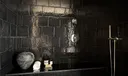PRIMARY SHOWER
