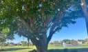 7828 Glen Garry Lane Photo