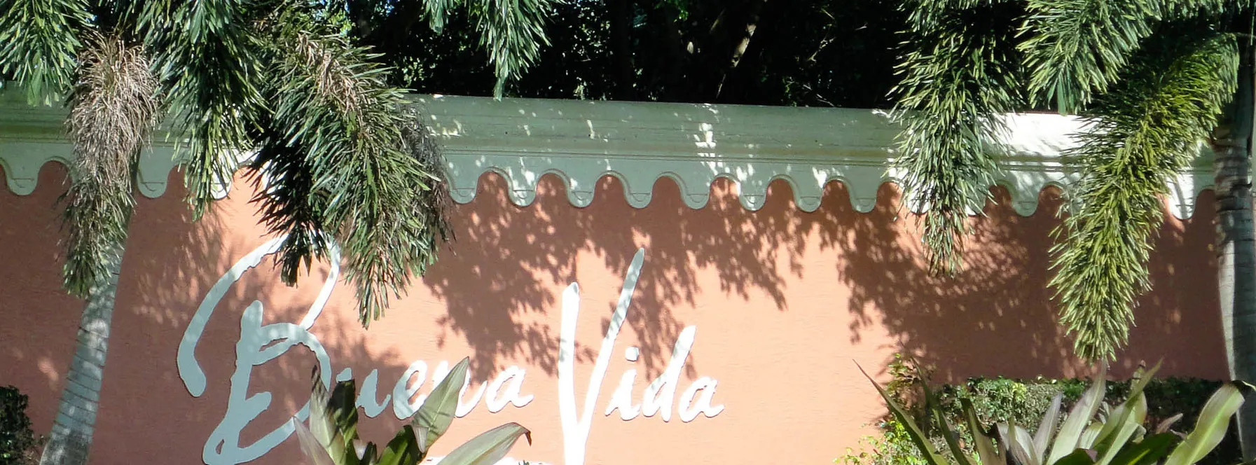 Just Sold in Buena Vida!