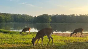 Explore Riverbend