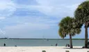 335 Hernando Street #C Photo