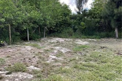 Empty lot. Perfect for that new home.