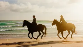 Equestrian Homes & Communities in Martin County
