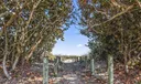 1814 Surfside Drive Photo