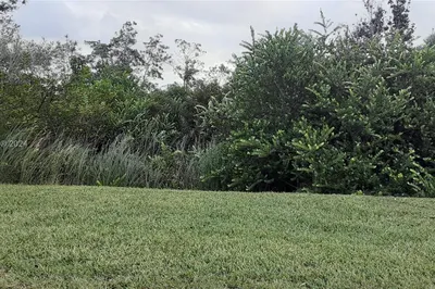 Other Land 1