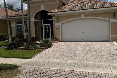 2332 Curley Cut 1